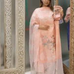 পাকিস্তানি ইনস্পায়ার্ড ক্যাটালগ আনস্টিচ ড্রেস
