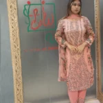 পাকিস্তানি ইনস্পায়ার্ড ক্যাটালগ আনস্টিচ ড্রেস